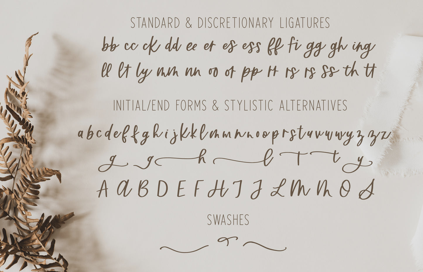 FONT - Frankie Rose - script handwritten cursive hand lettered font, modern script